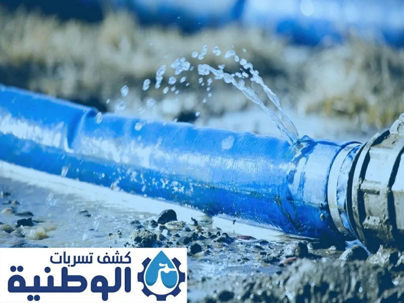 Riyadh water leak detection company