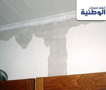 معالجة رطوبة الجدران بالرياض