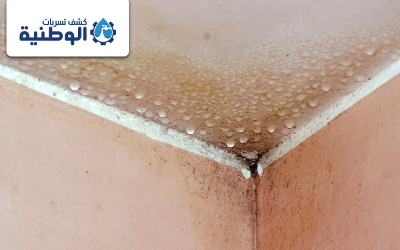شركة كشف تسربات الاسطح بالقصيم