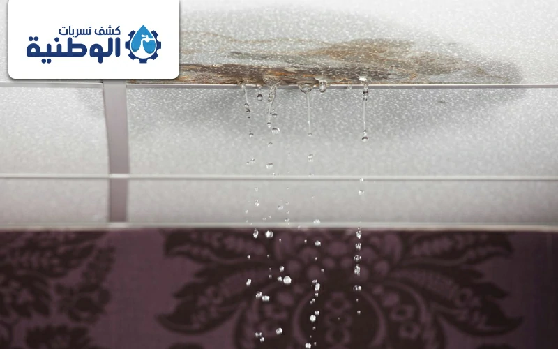 شركة كشف تسربات الاسطح بخميس مشيط